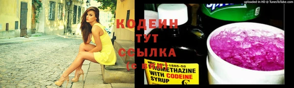 хмурый Михайлов
