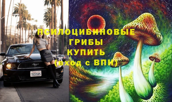 соль ск Михайловск