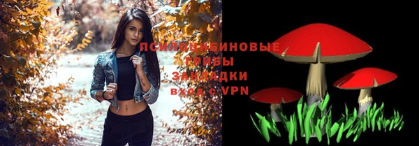хмурый Михайлов